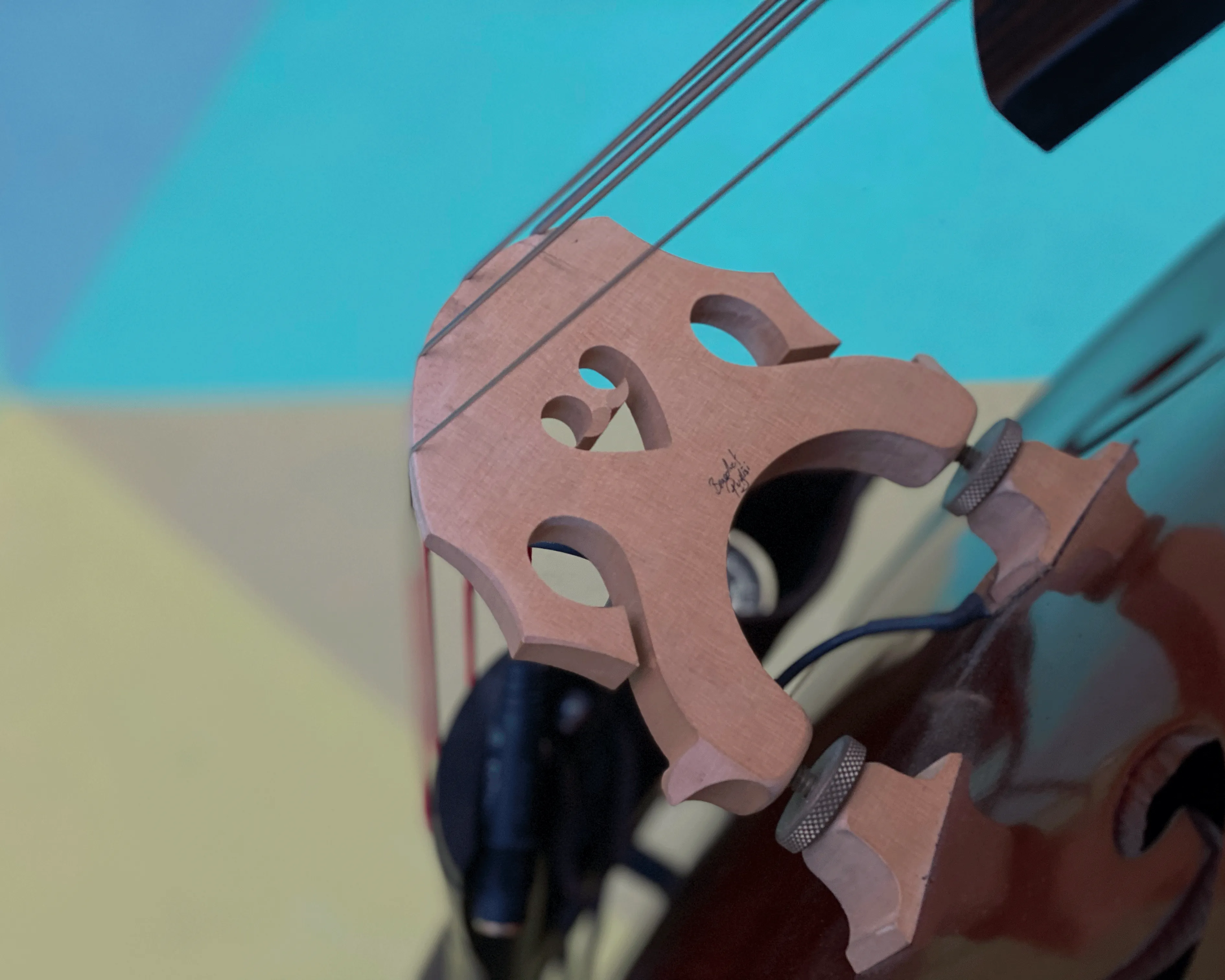 Benedict Puglisi 3/4 Double Bass