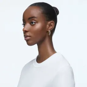Dextera Hoop Crystal Earrings 5618305