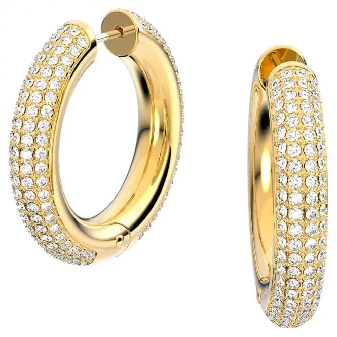 Dextera Hoop Crystal Earrings 5618305