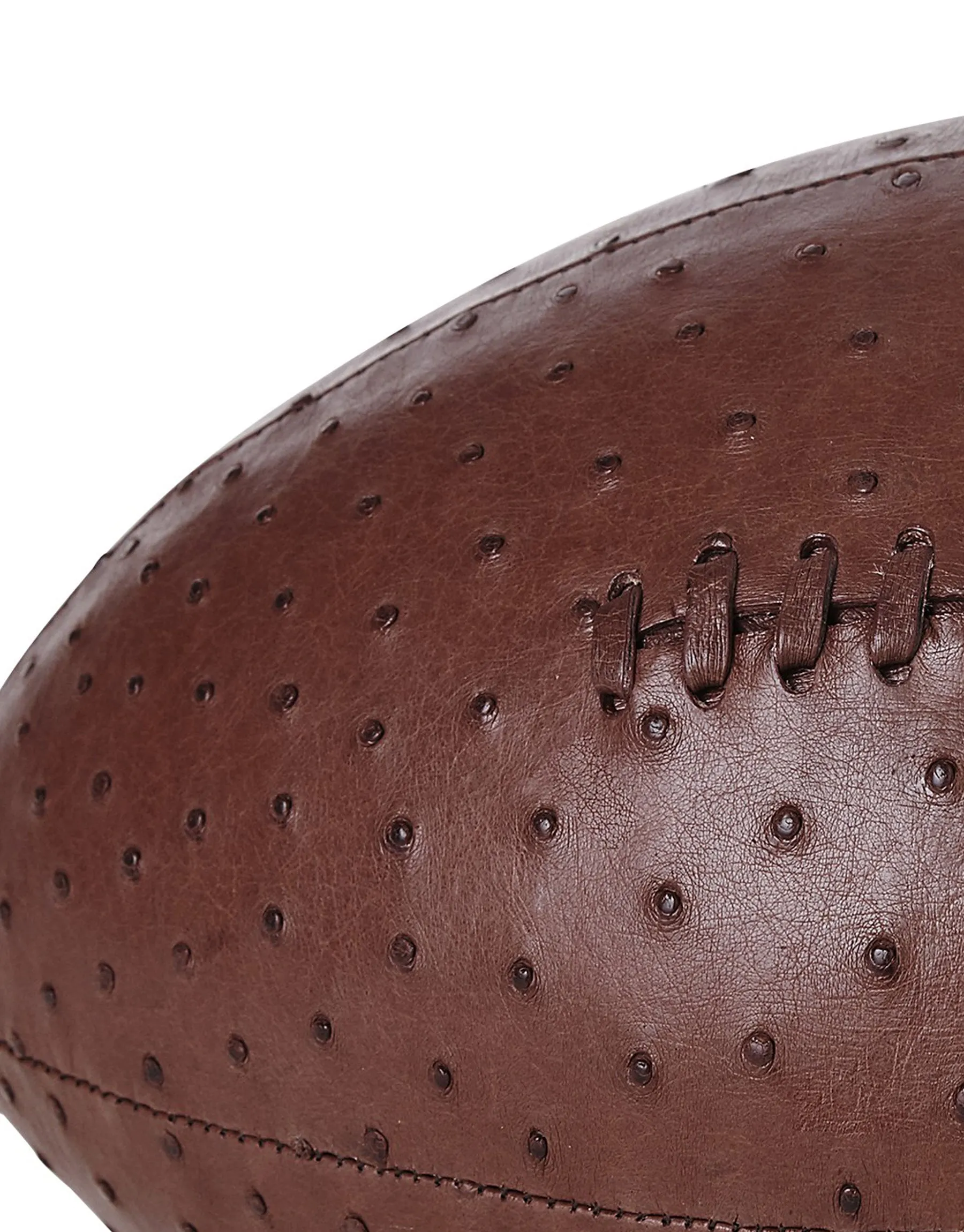 Gingerbread Ostrich Rugby Ball