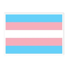 Transgender Trans Pride Flag Large Sticker