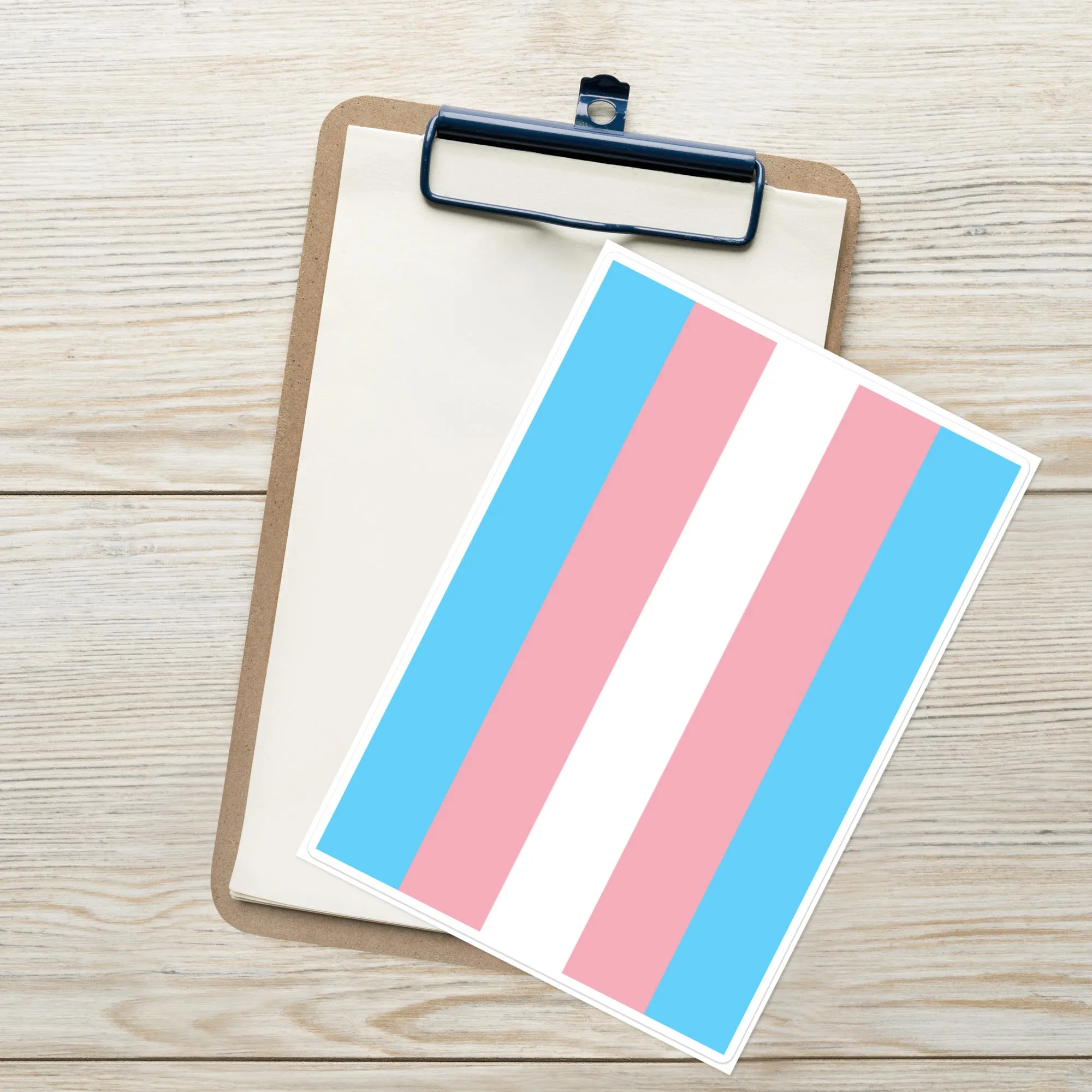 Transgender Trans Pride Flag Large Sticker